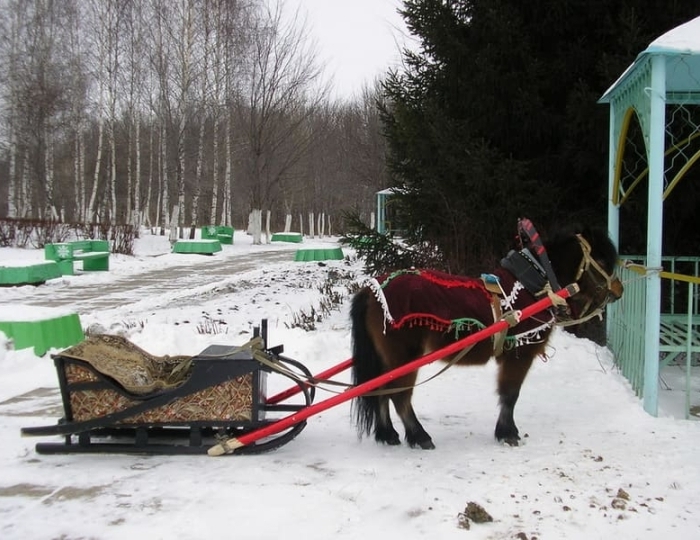 Услуги и развлечения - Санаторий «Ижминводы» Татарстан