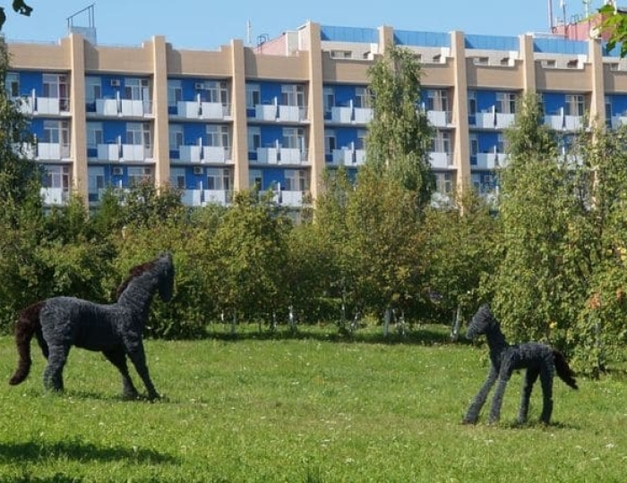 Санаторий «Ижминводы» Татарстан